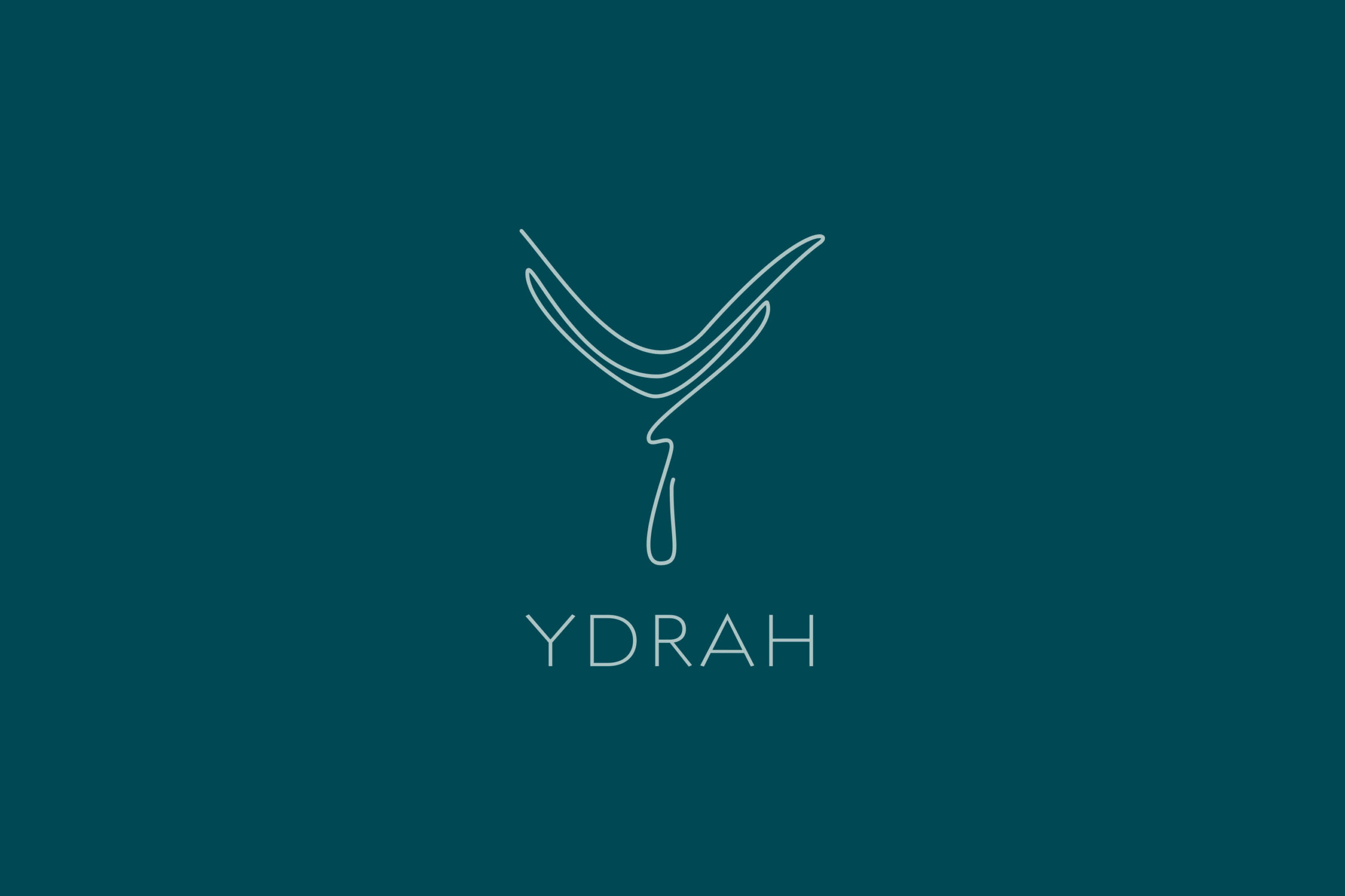 Logo sur fond vert pour identité visuelle Ydrah